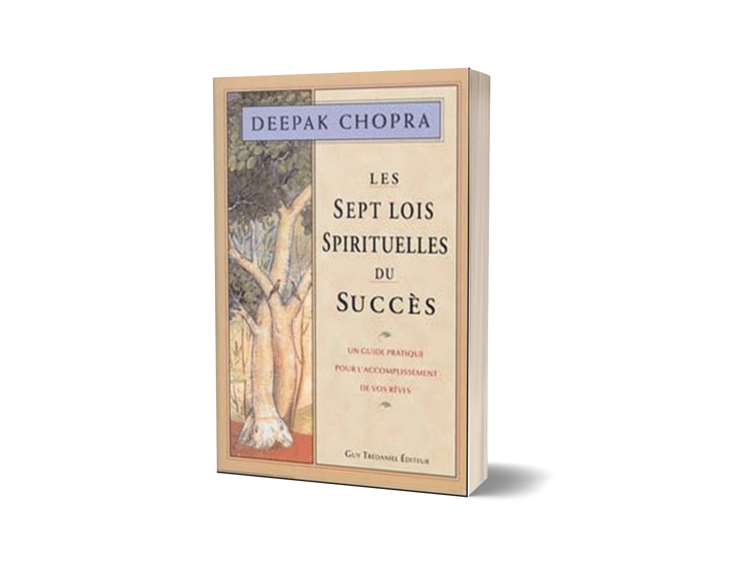 Les 7 lois spirituelles du succès