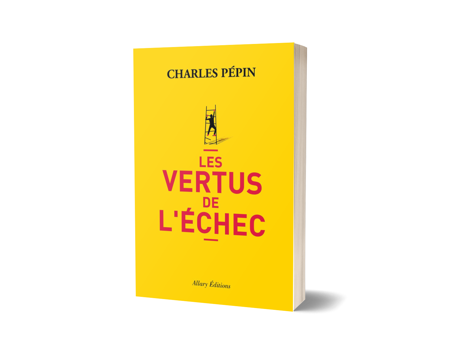 Les Vertus de l’échec