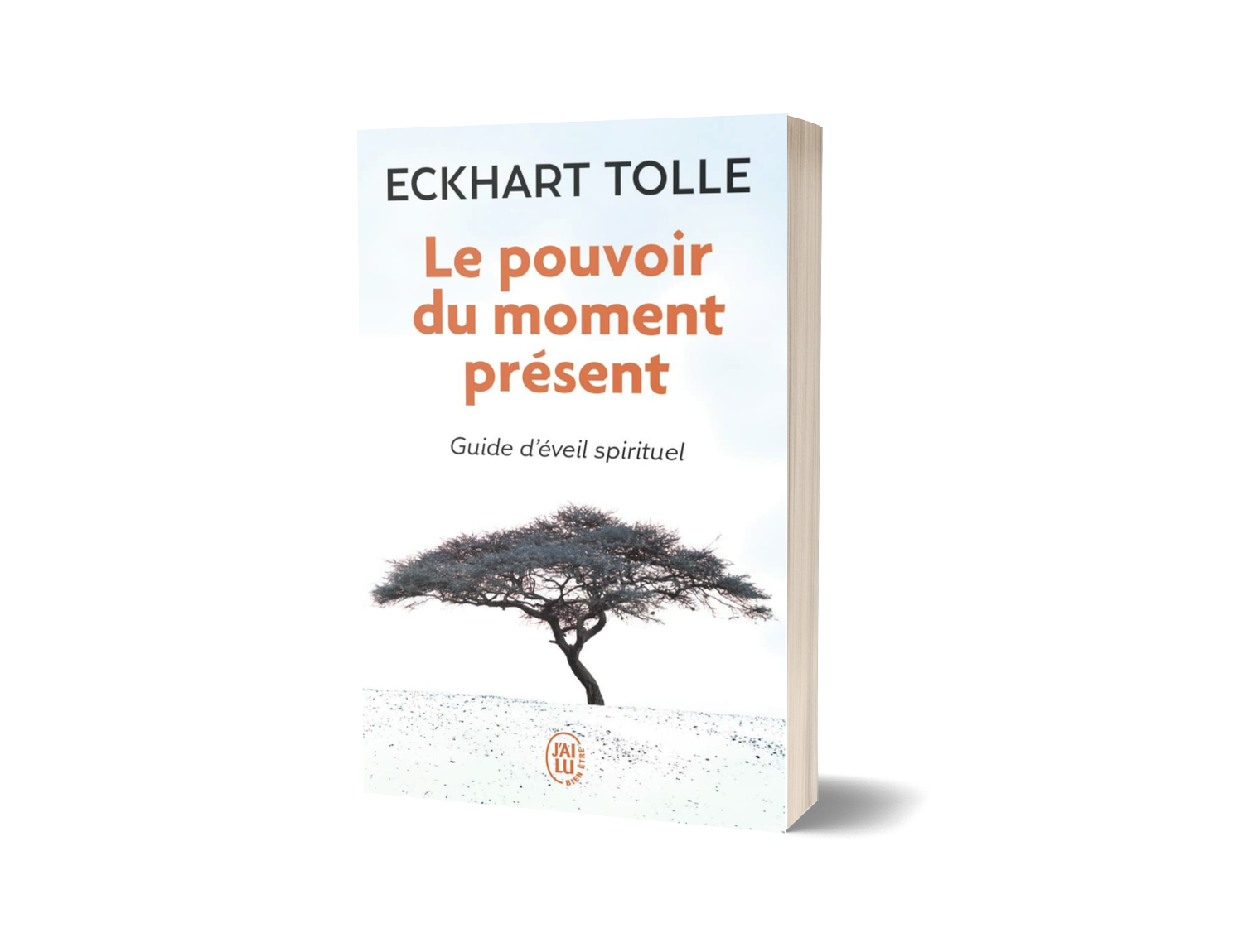 Le Pouvoir du moment présent